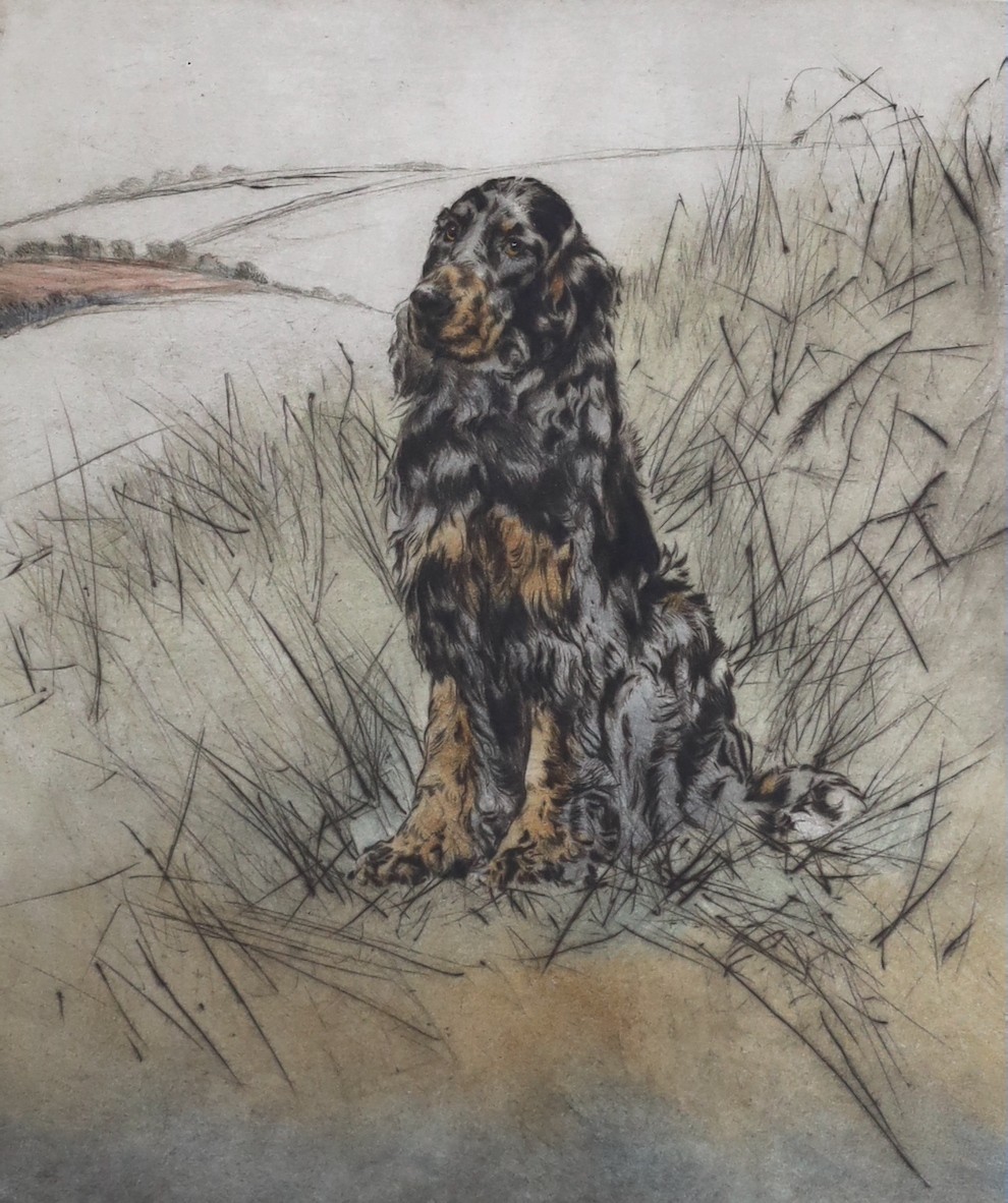 Henry Wilkinson (1921-2011), coloured etching, Gordon Setter in a landscape, signed in pencil, 145/150, 30 x 25cm